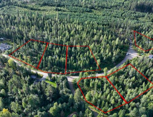 Kuuletko Haavelinnan kutsun? Kuhmalahdelta omakotitontti 500 eurolla